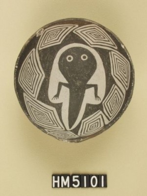 hm5101.jpg