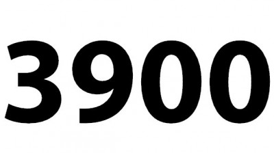 3900.jpg